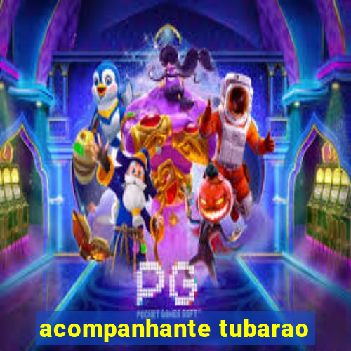 acompanhante tubarao